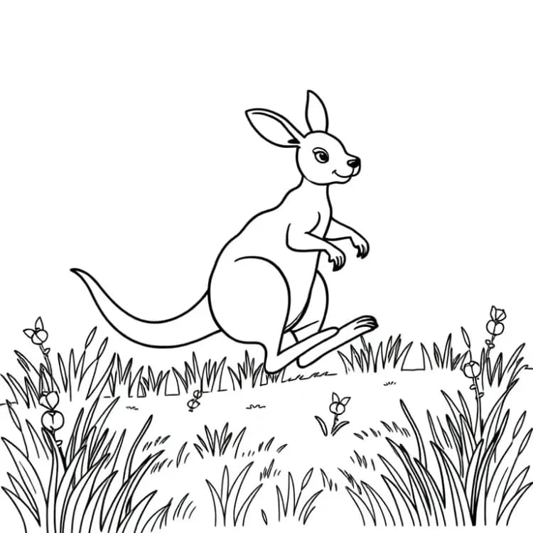 Kangaroo Coloring Pages