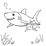 Jaws Coloring Pages